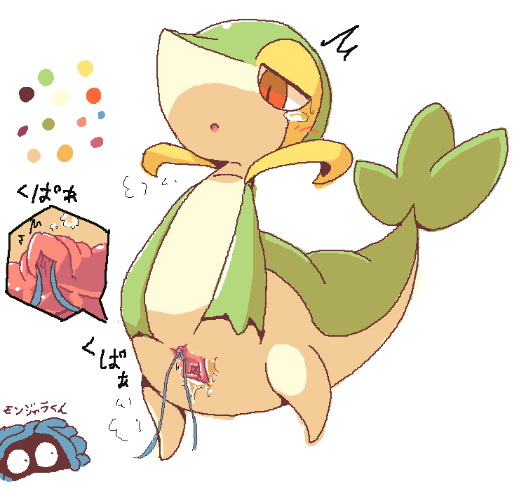 Rule34 – If it exists, there is porn of it / crepix, snivy / 598483