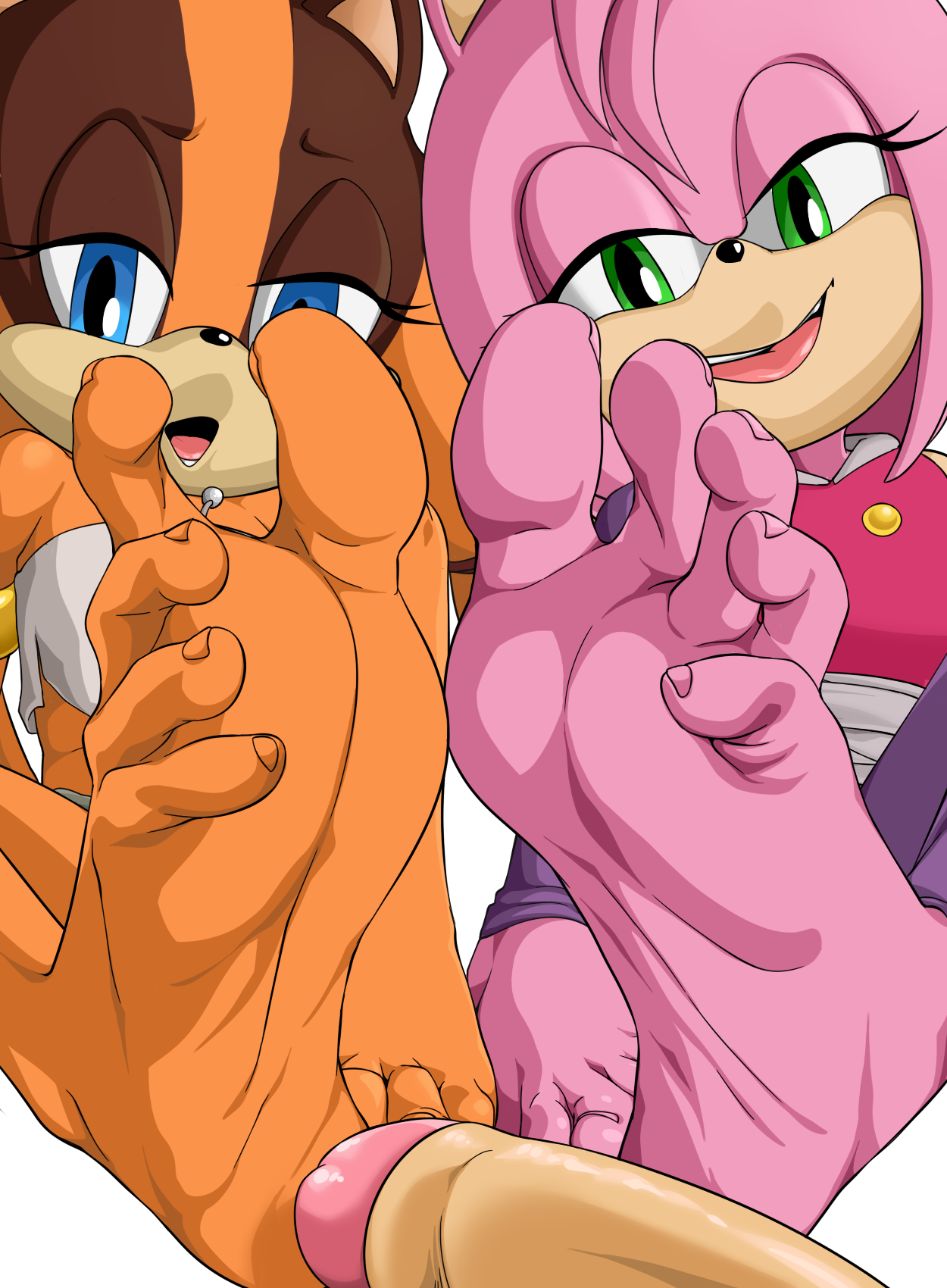 Rule34 – If it exists, there is porn of it / rankerhen, amy rose, sticks the badger, sticks the jungle badger / 11776398