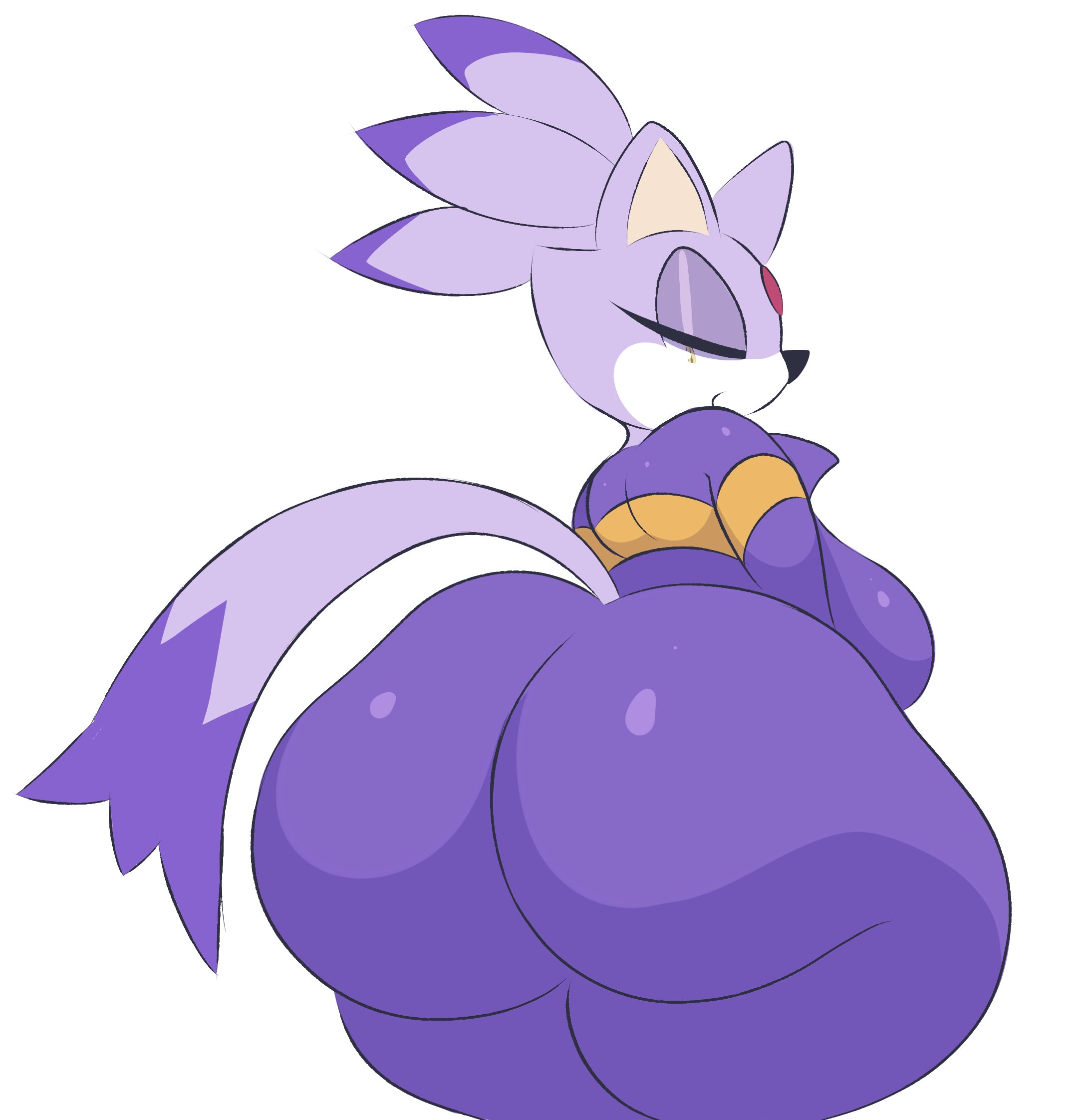 Rule34 – If it exists, there is porn of it / blaze the cat / 11799591