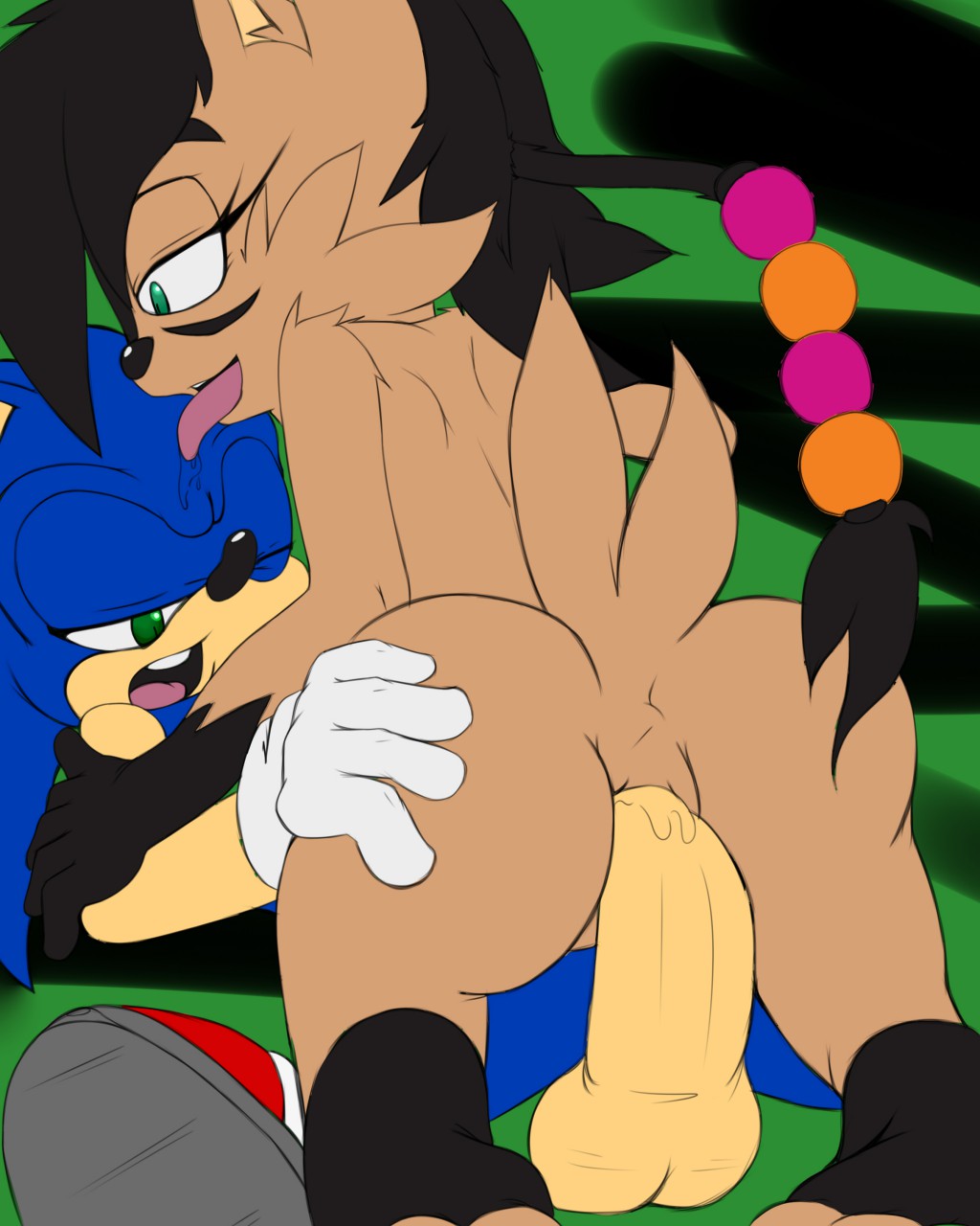 Rule34 – If it exists, there is porn of it / koro kizama, nicole the lynx, sonic the hedgehog / 601889