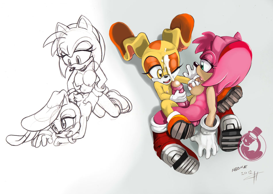 Rule34 – If it exists, there is porn of it / neokat, amy rose, cream the rabbit / 601904