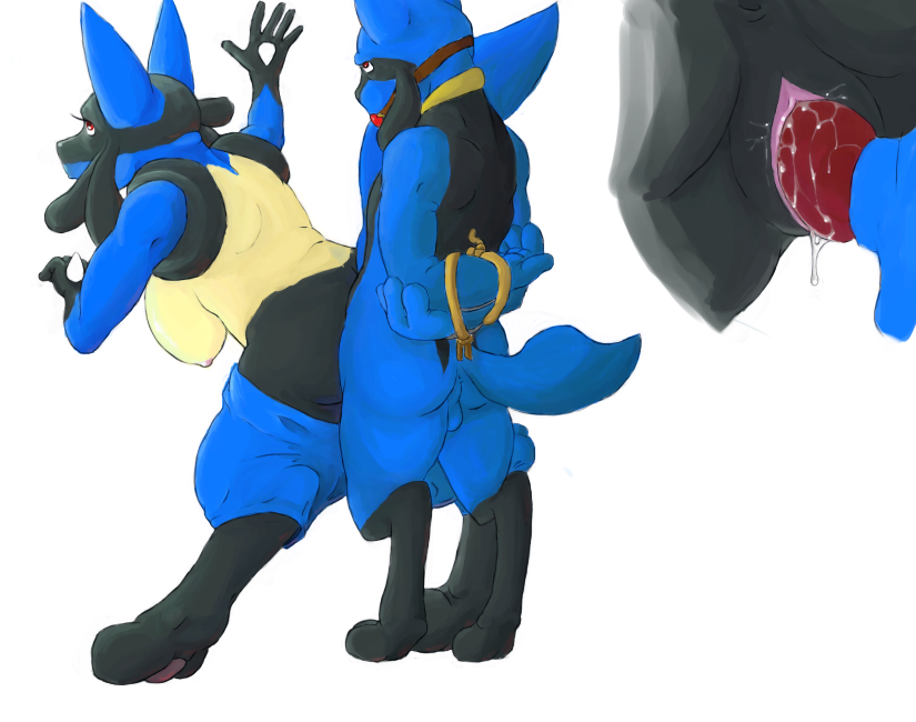 Rule34 – If it exists, there is porn of it / lesserred, lucario, riolu / 603359