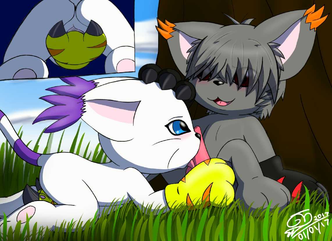 Rule34 – If it exists, there is porn of it / haiiromon, digimon (species), gatomon / 603699