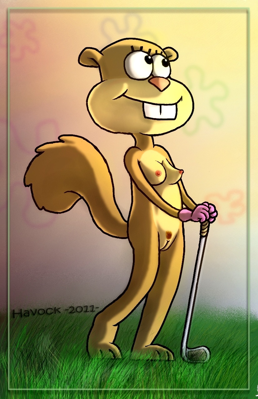 Rule34 – If it exists, there is porn of it / sandy cheeks / 605270