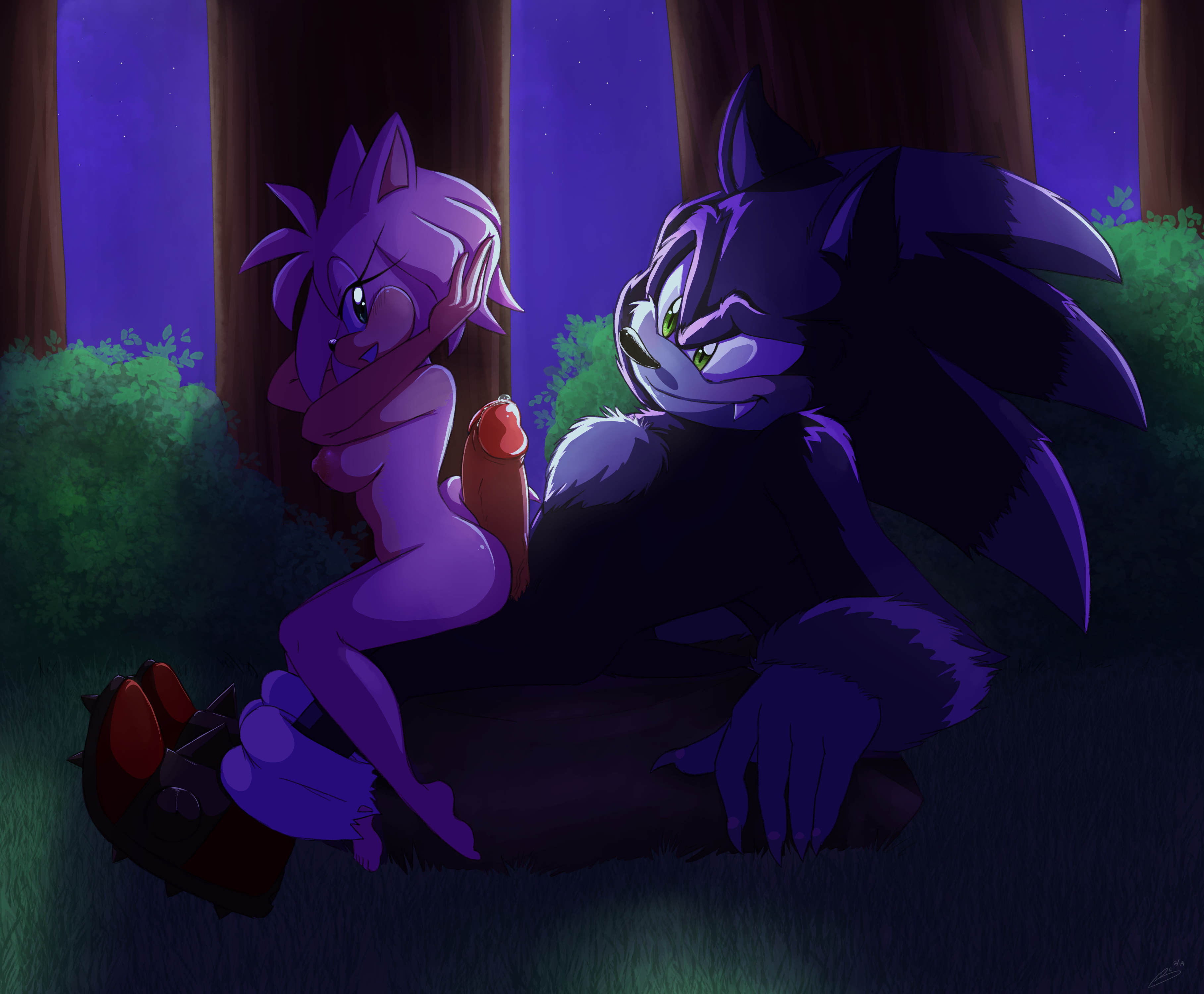 Rule34 – If it exists, there is porn of it / bluechika, amy rose, sonic the hedgehog, sonic the werehog / 607466