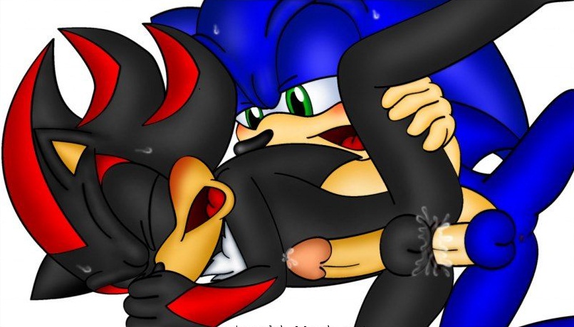 Rule34 – If it exists, there is porn of it / shadow the hedgehog, sonic the hedgehog / 607467